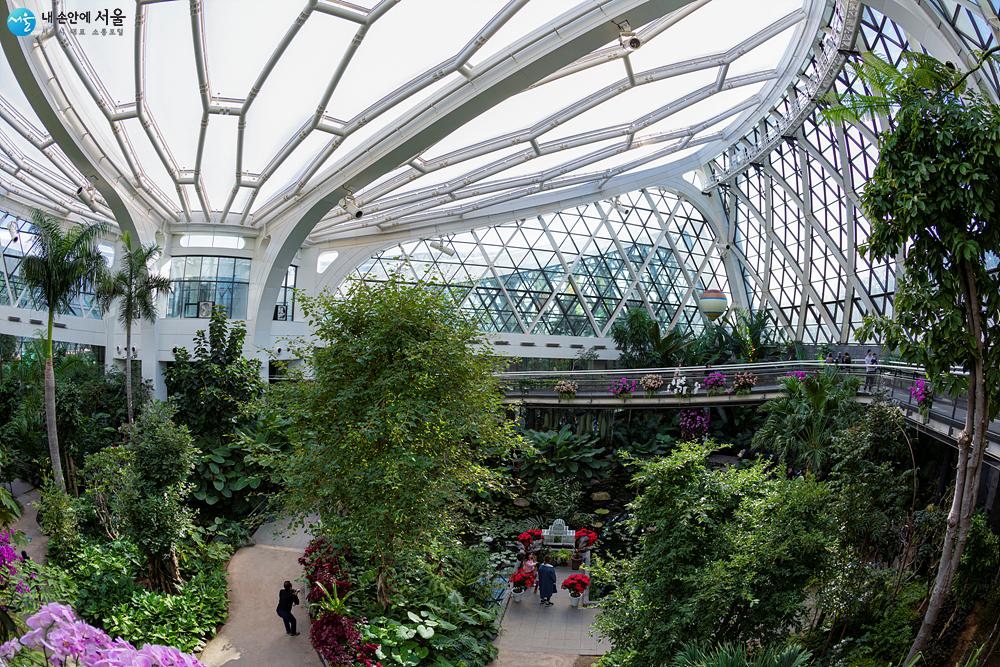 아름다운 돔 형태의 식물원 내부에서는 다양한 식물들을 만날 수 있다. 지난 가을에 담은 온실 모습 ⓒ이재연