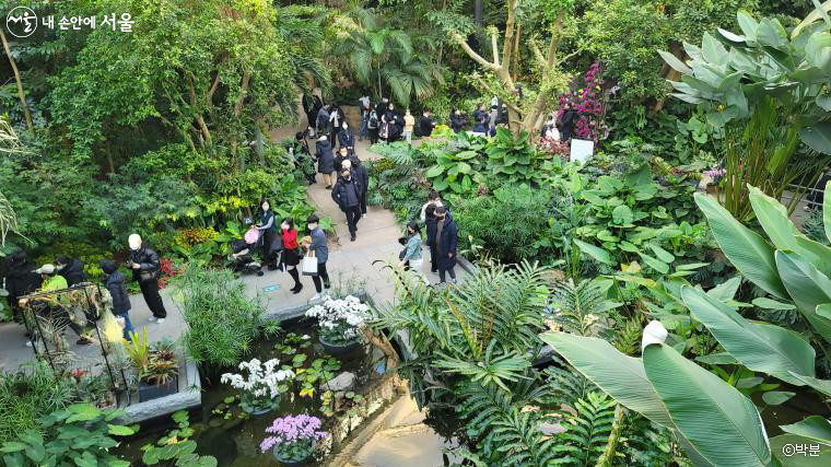 겨울 한파에도 많은 이들이 따스한 온실이 있는 서울식물원을 찾았다.