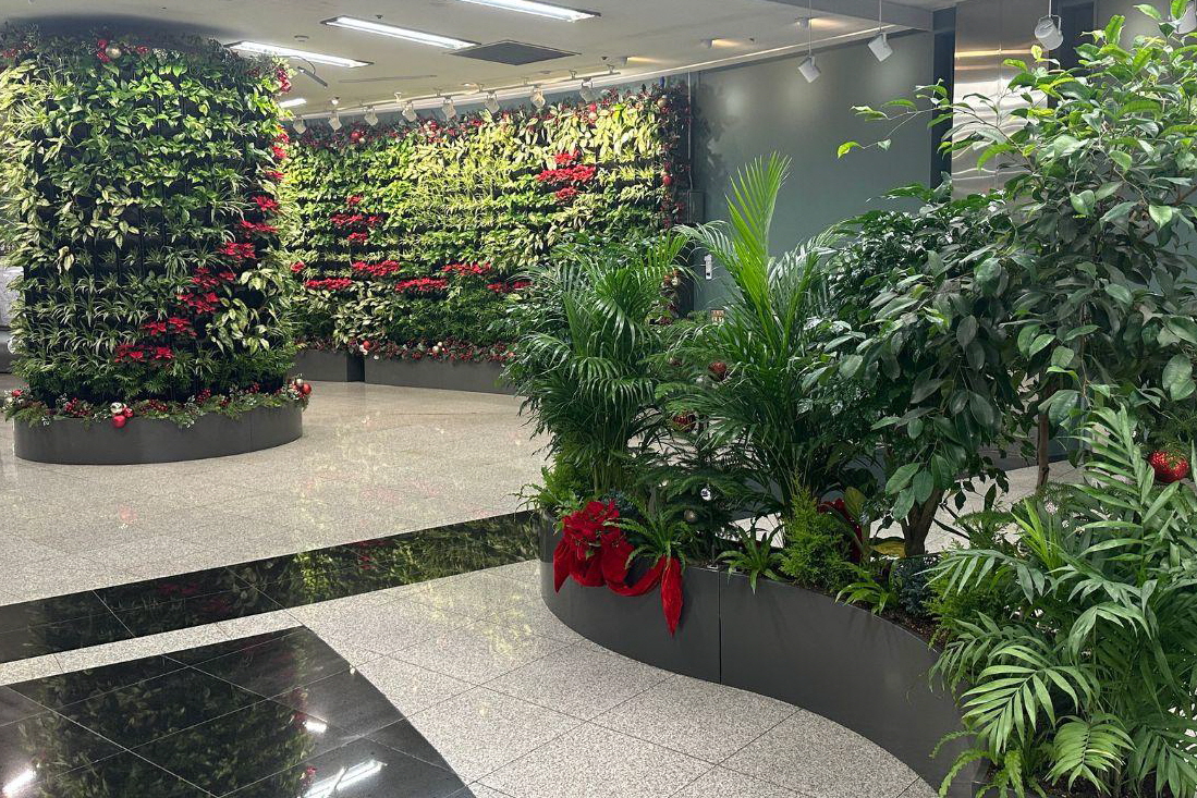 연말 분위기 가득! 크리스마스 정원으로 변신한 지하철 역 '서울 아래숲길'