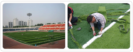 목동운동장 축구장