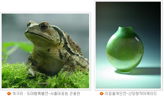 개구리․도마뱀특별전-서울대공원 곤충관(좌), 이윤철개인전-신당창작아케이드(우)