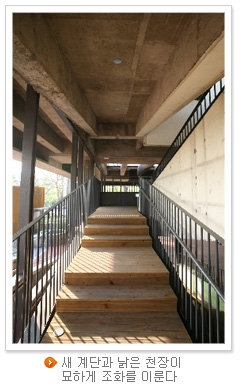새 계단과 낡은 천장이 묘하게 조화를 이룬다