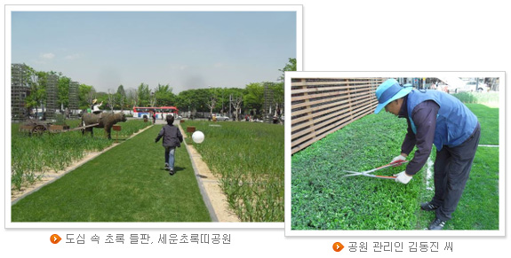 도심 속 초록 들판, 세운초록띠공원(좌), 공원 관리인 김동진 씨(우)