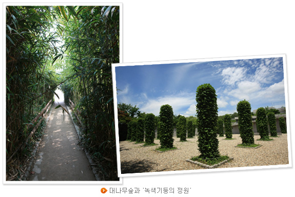 대나무숲과 '녹색기둥의 정원'