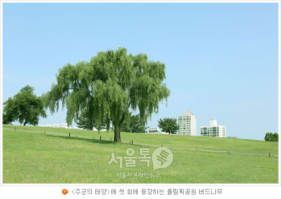 [주군의 태양]에 첫 회에 등장하는 올림픽공원 버드나무