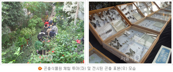 곤충식물원 체험 투어(좌) 및 전시된 곤충 표본(우) 모습