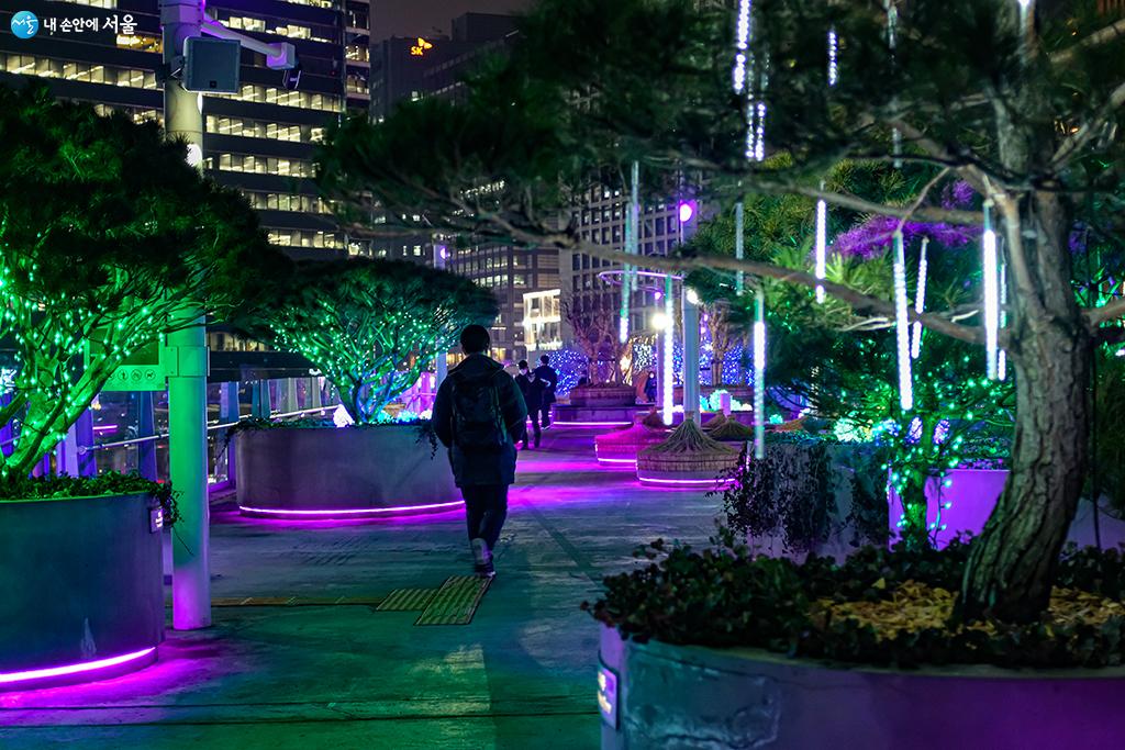 파릇파릇한 나무들에 설치된 아름다운 빛의 경관조명과 서울로를 걷는 시민