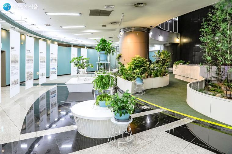 평범했던 지하철역 대합실이었던 지하 4층 원형홀은 600여개 식물이 자라는 '시간의 정원'이 됐다. ⓒ박우영