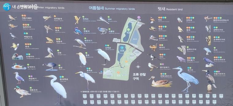 서울식물원 마곡지구에서 관찰된 41종의 야생조류들
