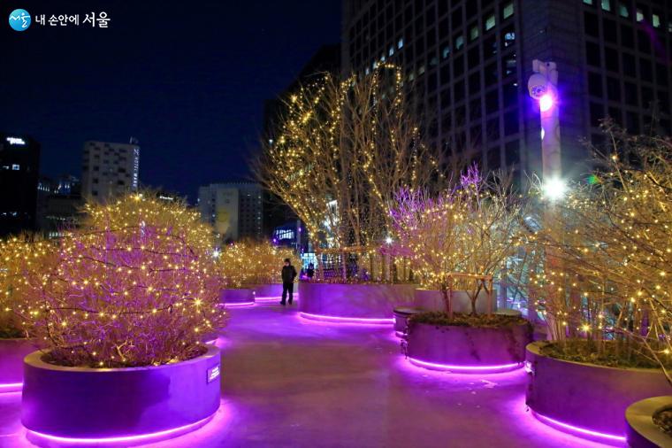 겨울 한복판 추위도 잠시 잊게 하는 서울로7017의 눈꽃정원 