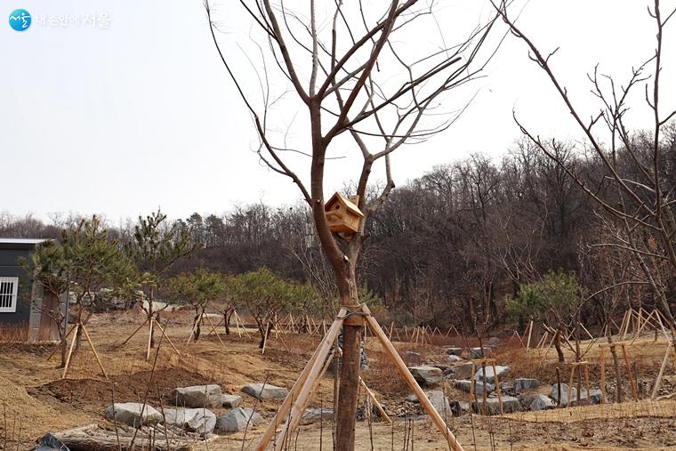 새장도 만들어서 나무 위에 설치해두었다. 