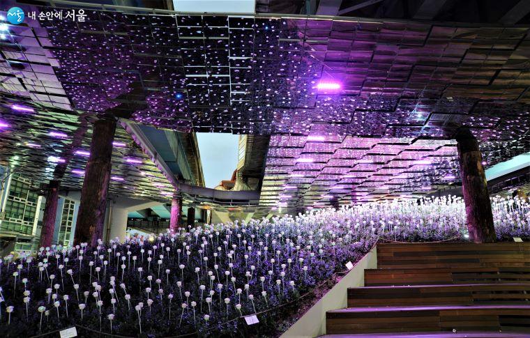 ‘옥수 고가하부’의 장미정원은 야간에 장미꽃과 천장의 LED 등이 켜지면 또 다른 볼거리를 제공한다 ⓒ조수봉