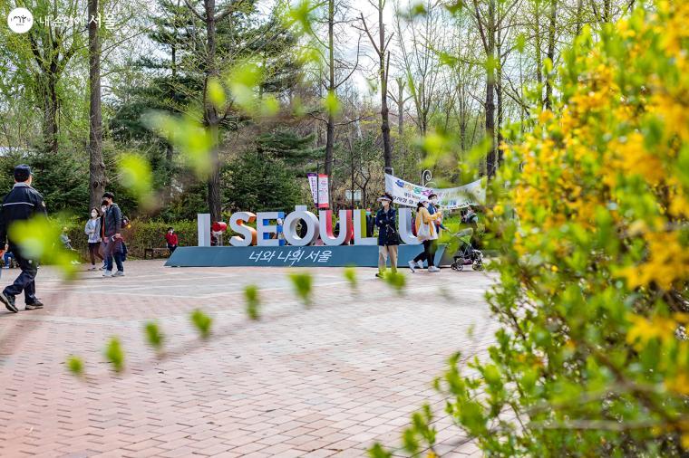 어린이대공원 입구에 놓인 I SEOUL U 와 함께 봄을 알리는 개나리 꽃이 만발해 있다. ⓒ유서경