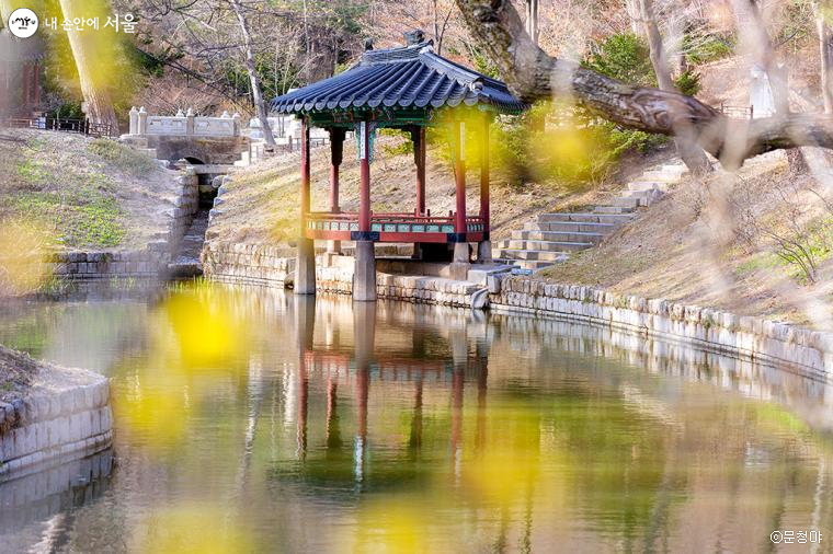 생기 가득한 봄바람이 다양한 빛깔을 뿌린 듯 아름다운 관람정의 모습