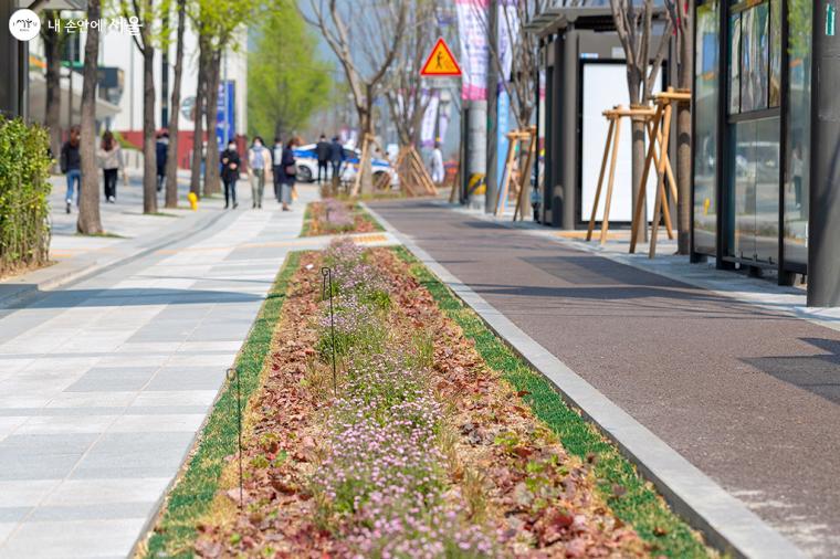 세종대로 인도에 봄꽃이 심어져 걸어가는 시민들의 발걸음이 가벼워보인다. 서울은 걷기 좋은 도시다 ⓒ문청야