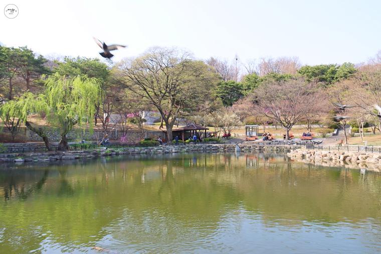 봄이 찾아온 광장 앞 연못 주변 쉼터가 잘 구성되어 있어 시민들이 휴식을 취하며 햇볕과 봄바람을 즐기고 있다 ⓒ정향선