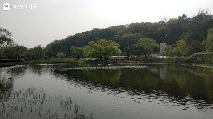 멋진 풍경을 자랑하는 보라매공원 연못 
