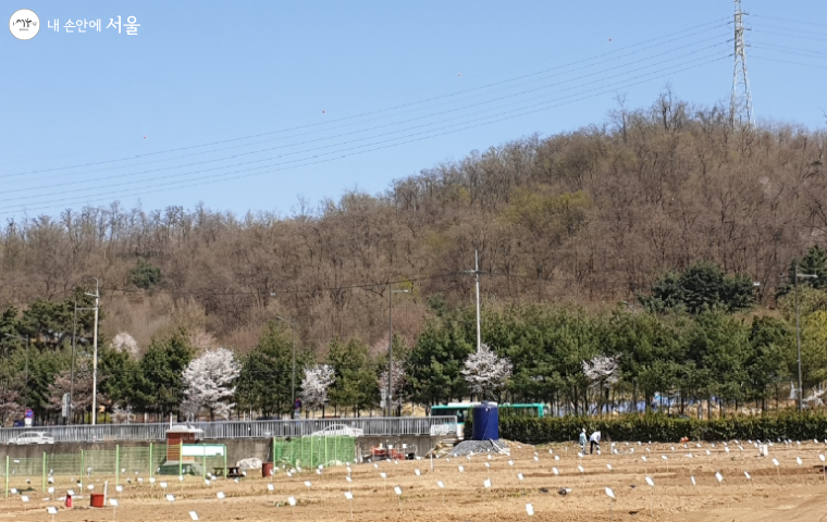 도시텃밭 뒤에 일자산이 있어 운동 겸 농사를 짓기에 좋다. 