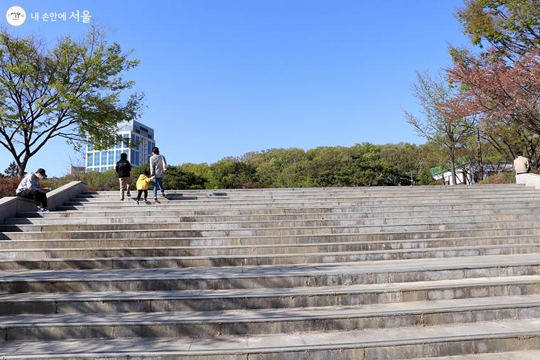 중앙잔디광장 앞 계단도 인기 촬영 명소로 알려져 있다.