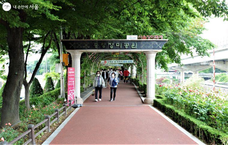 서울장미축제의 시작점인 중랑장미공원 문주(門柱) ⓒ조수봉