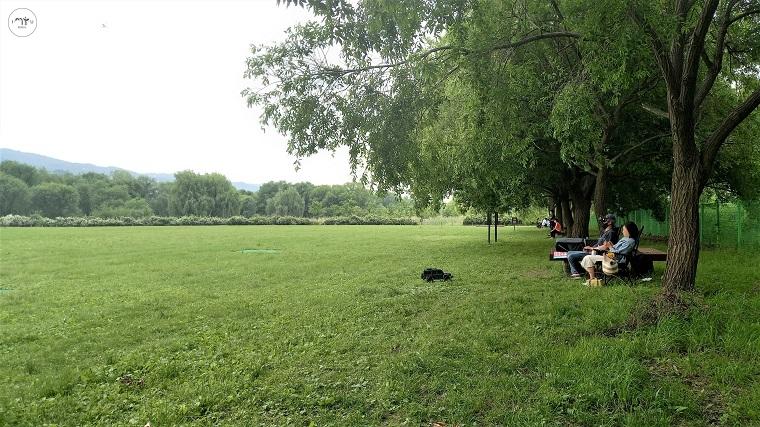 시민들이 한강드론공원 잔디마당에 나와 드론을 날리며 휴식을 만끽하고 있다. ⓒ이봉덕