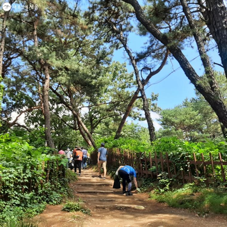 고덕산 등산로에서 쓰레기를 줍고 있는 시민들의 모습