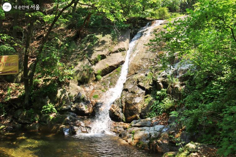 서울대공원 산림치유숲이 품은 자연폭포 ‘물이완숲’