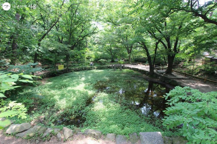 보기만 해도 힐링이 되는 부암동 백사실 계곡 전경