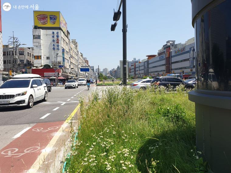 자전거 전용도로를 따라 고산자교에서 종로6가방향으로 라이딩 중인 시민