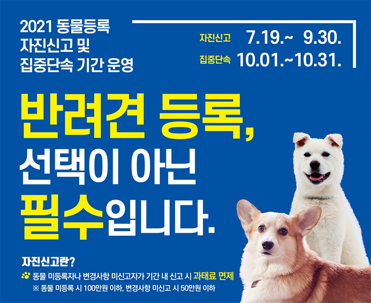 서울시가 7월 19일부터 9월 30일까지 ‘동물등록 자진신고 기간’을 운영한다.