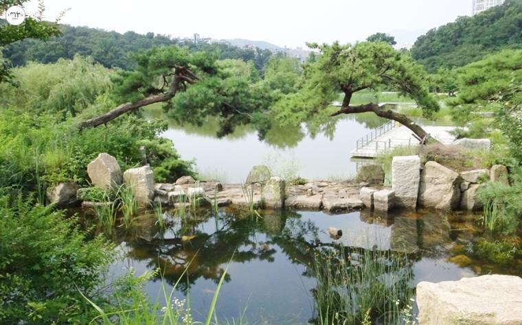 공원 중앙에 있는 큰 연못 '월영지'