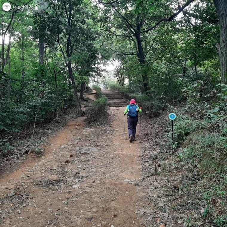 서울 둘레길 3코스 중 하나인 일자산 코스는 약 5km 정도 된다. 