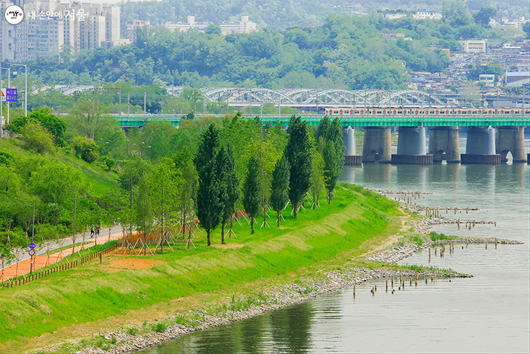 이번 축제는 ‘폴 인 한강(Fall-in-Hangang)’을 주제로 다채로운 프로그램을 마련한다. 사진은 한강이촌생태공원 전경 