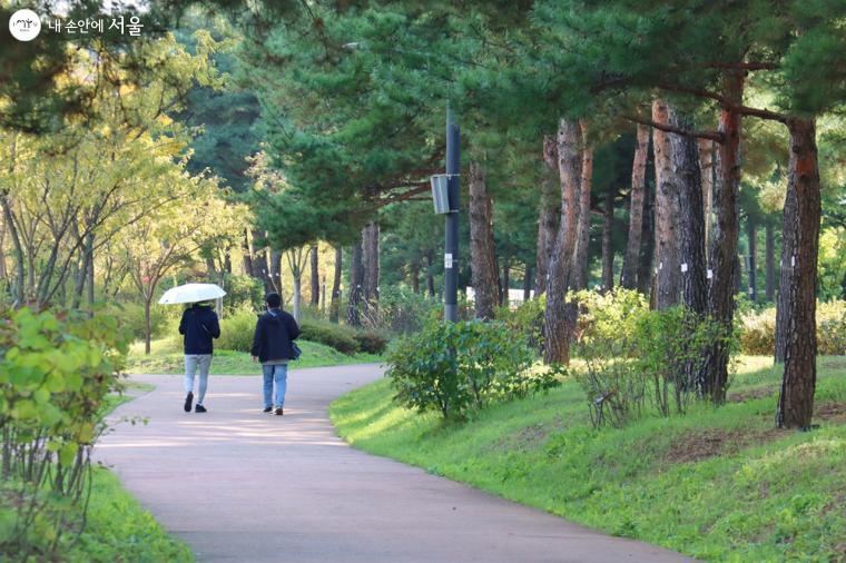 율현공원 입구 소나무 숲길을 시작으로 비대면 걷기를 시작하였다