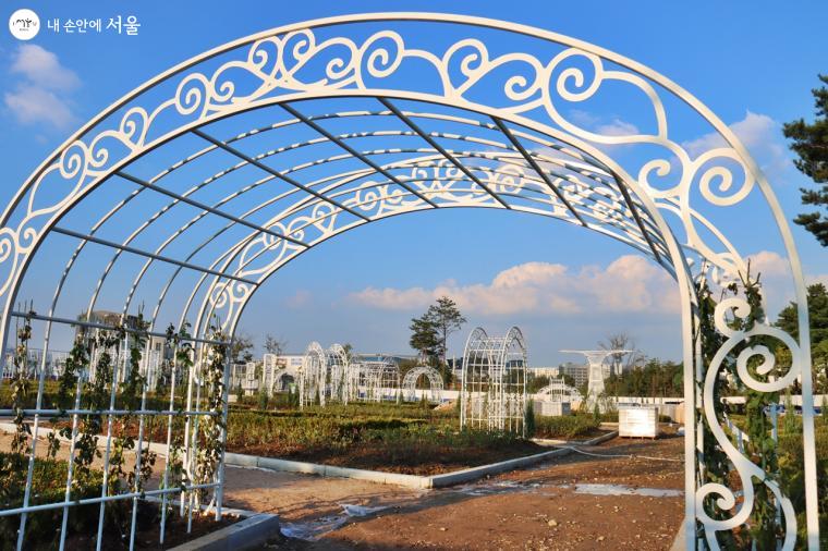 율현공원에 새롭게 들어선 장미원에 3계절 개화 가능한 장미 1만 7,840본에 대한 식재 공사가 마무리 단계에 접어들고 있다. 벌써 내년 봄이 기대된다 ⓒ정향선