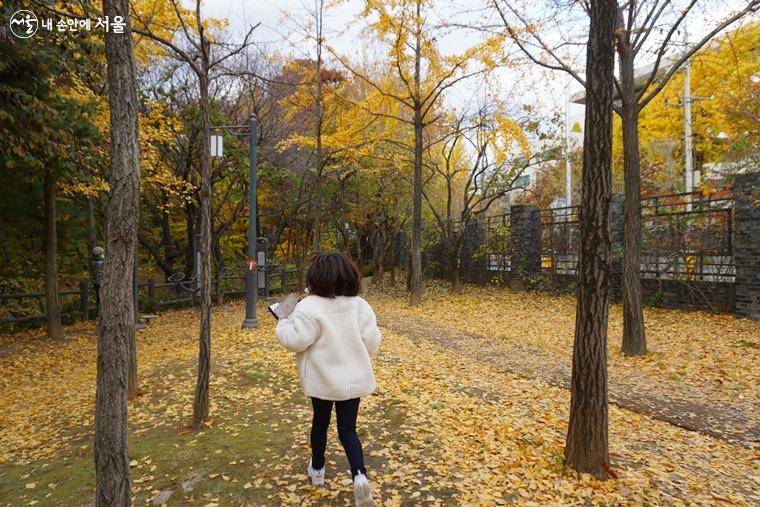 넓은 공원에서 가을 낙엽을 밟으며 뛰는 아이들 ⓒ김윤경