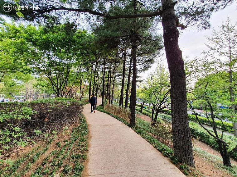 공원에서 애정하는 공간인 순환산책로