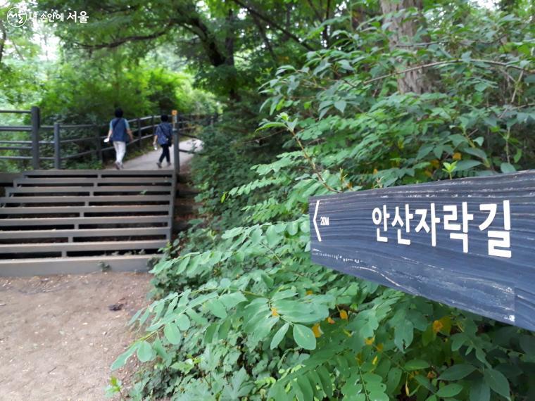 ‘자락길’은 서울 도심에서 깊은 숲으로 접어들 수 있는 '숲 지름길'이다. ©엄윤주