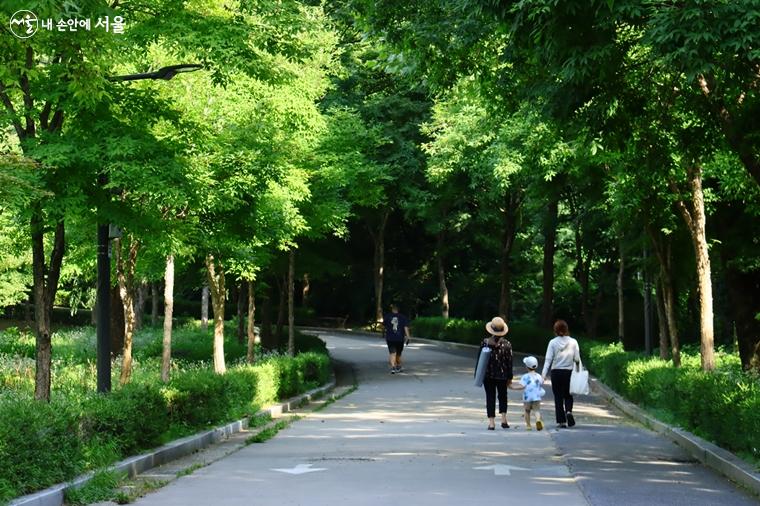 짙푸른 대공원의 자연과 어우려져 가까운 도심 속에서 휴가를 보낼 수 있도록 다양한 프로그램이 진행된다. 푸른숲 우거진 길을 따라 걷는 것만으로도 힐링이 된다.