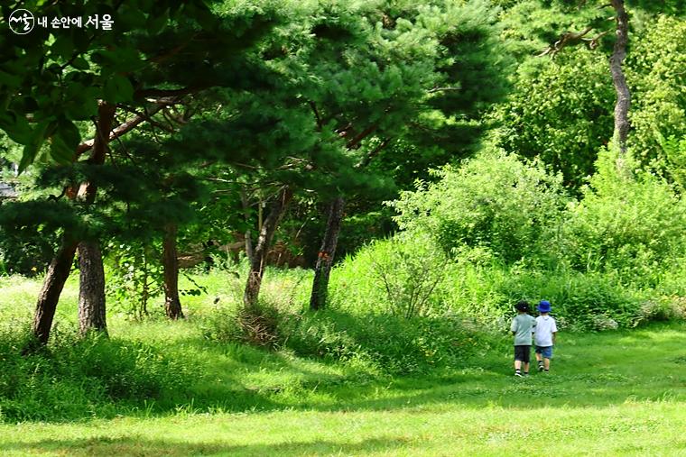 더운 여름 도심 속 푸른 녹음 우거진 공원에서 물놀이 외 다양하게 즐길 수 있는 '파캉스'를 아이와 손잡고 떠나보자.
