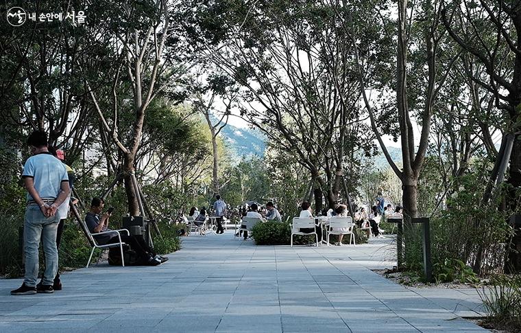 느티나무, 팽나무, 느릅나무 등으로 조성된 푸른 '광장숲'에서 쉬고 있는 시민들 ⓒ김아름