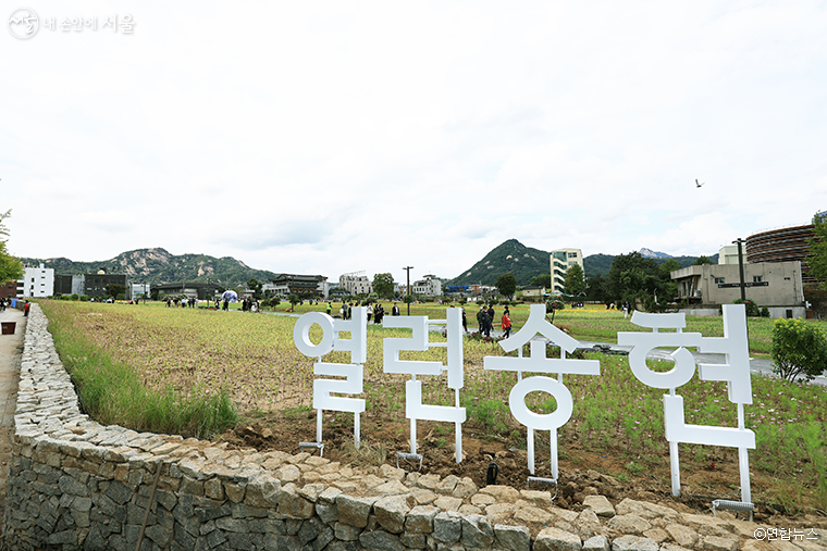 부지 전체를 둘러싸고 있던 4m 벽이 1.2m로 낮아져 녹지광장을 한 눈에 담을 수 있다. 