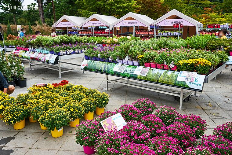 가든센터의 부스에서는 다양한 정원 식물을 전시, 판매하고 있다 ⓒ이정규