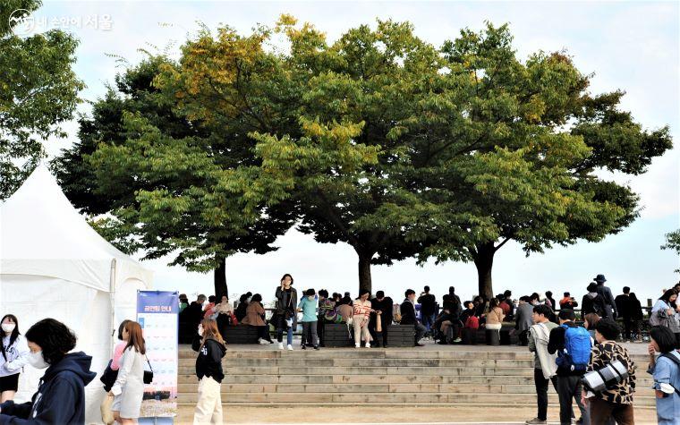 축제 기간 동안 각종 공연이 펼쳐지는 '느티나무 버스킹존'