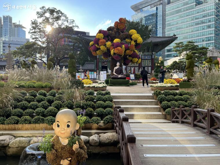 조계사에서 ‘국화 향기 나눔전’을 진행하고 있다. ⓒ박지영