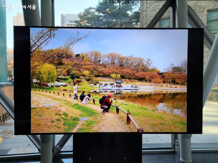 공원사진사들이 공원에서 촬영하는 모습 ⓒ조시승