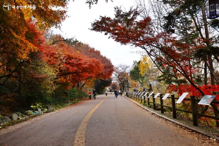 공원의 새, 사진 명소, 공원에서의 순간 등 아름다운 풍경을 담은 사진들이 전시되어 있는 둘레길 갤러리 ⓒ정향선