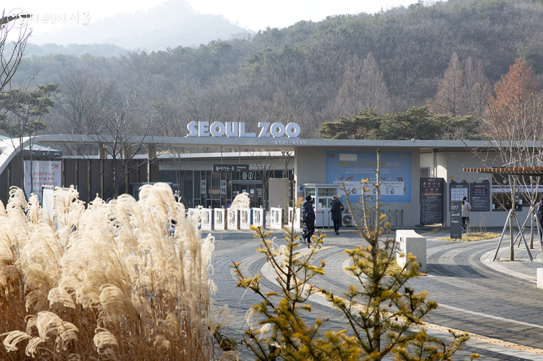서울대공원 식물원 관람을 위해서는 동물원 입장료를 지불 해야 하고, 동물원 입장료의 경우 다둥이 행복카드로 결제하면 30%의 할인 혜택을 받을 수 있다. 