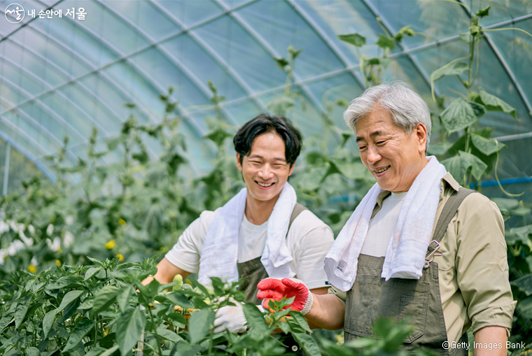 서울농업기술센터가 전원생활과 농업창업을 준비하는 시민을 위해 맞춤형 무료 교육을 운영한다.  