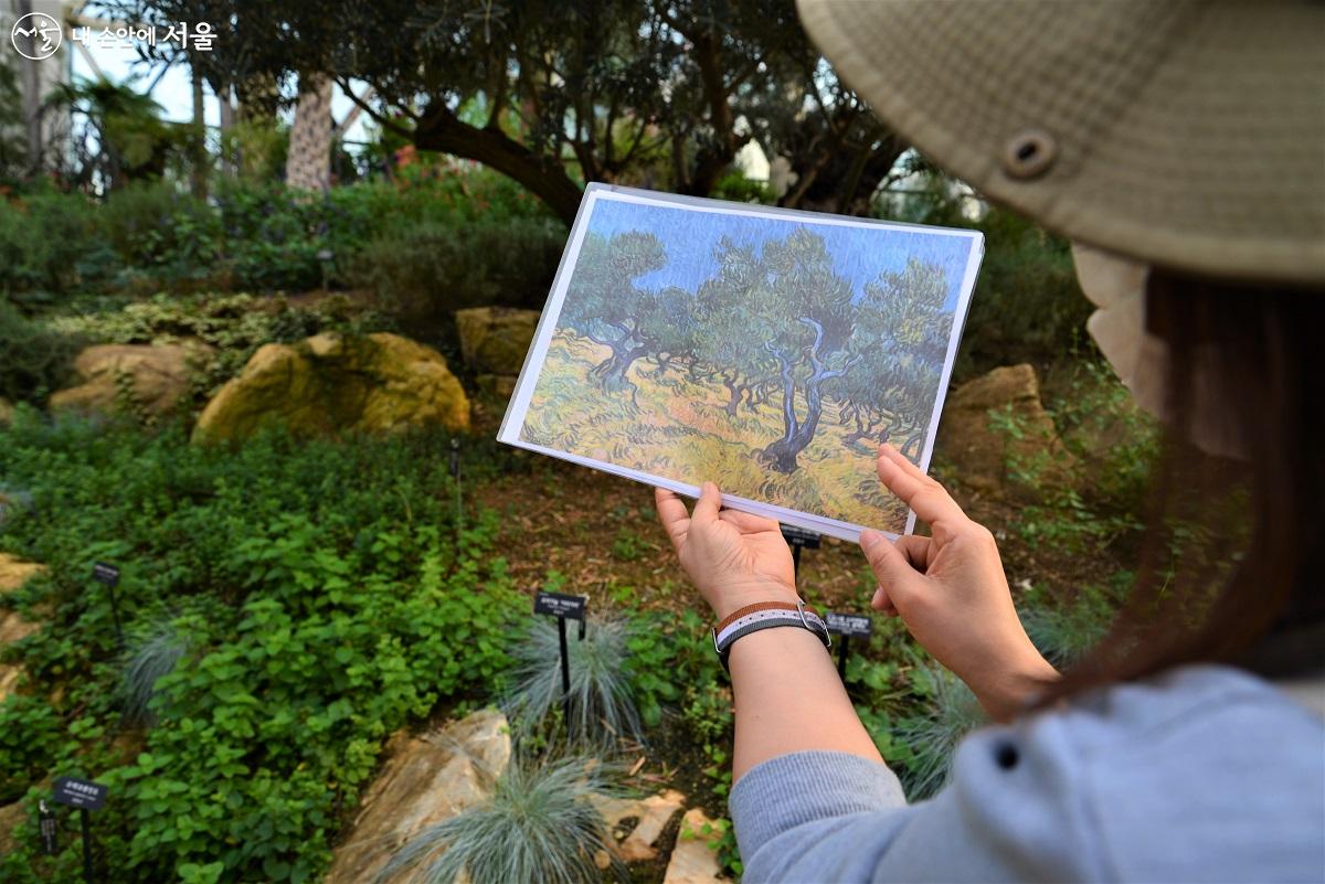 식물원 해설사가 빈센트 반 고흐가 죽기 직전에 그렸다는 '올리브나무' 작품사진을 보여주며 재미있게 설명을 더해간다. ⓒ이봉덕